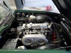 1974 Triumph Tr6 for Sale in Candia, NH - Rear End