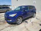 2013 Ford Escape Sel for Sale in Franklin, WI - Front End