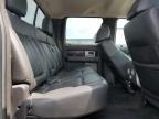 2010 Ford F150 Supercrew продається в Earlington, KY - Hail