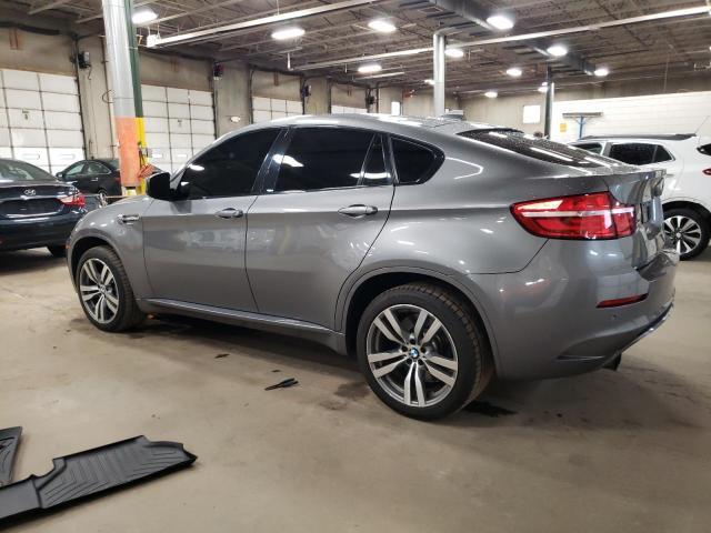 Parquets BMW X6 2013 Gray