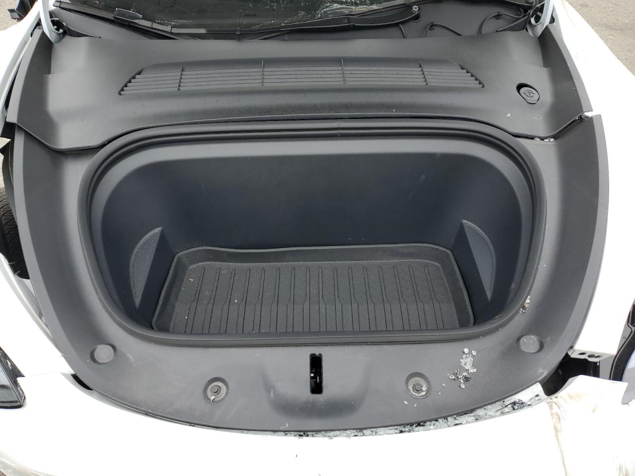 2024 Tesla Model Y VIN: 7SAYGDEE1RF191665 Lot: 53955025