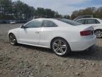 2011 Audi S5 Premium Plus zu verkaufen in Windsor, NJ - Vandalism