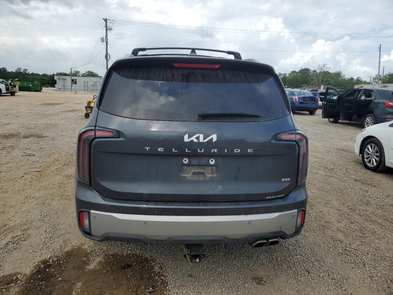 2024 Kia Telluride Sx VIN: 5XYP5DGC0RG441576 Lot: 54216365
