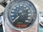 2000 Harley-Davidson Flsts  იყიდება Riverview-ში, FL - Water/Flood