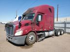 2013 Freightliner Cascadia 113 Semi Truck en Venta en Phoenix, AZ - Burn