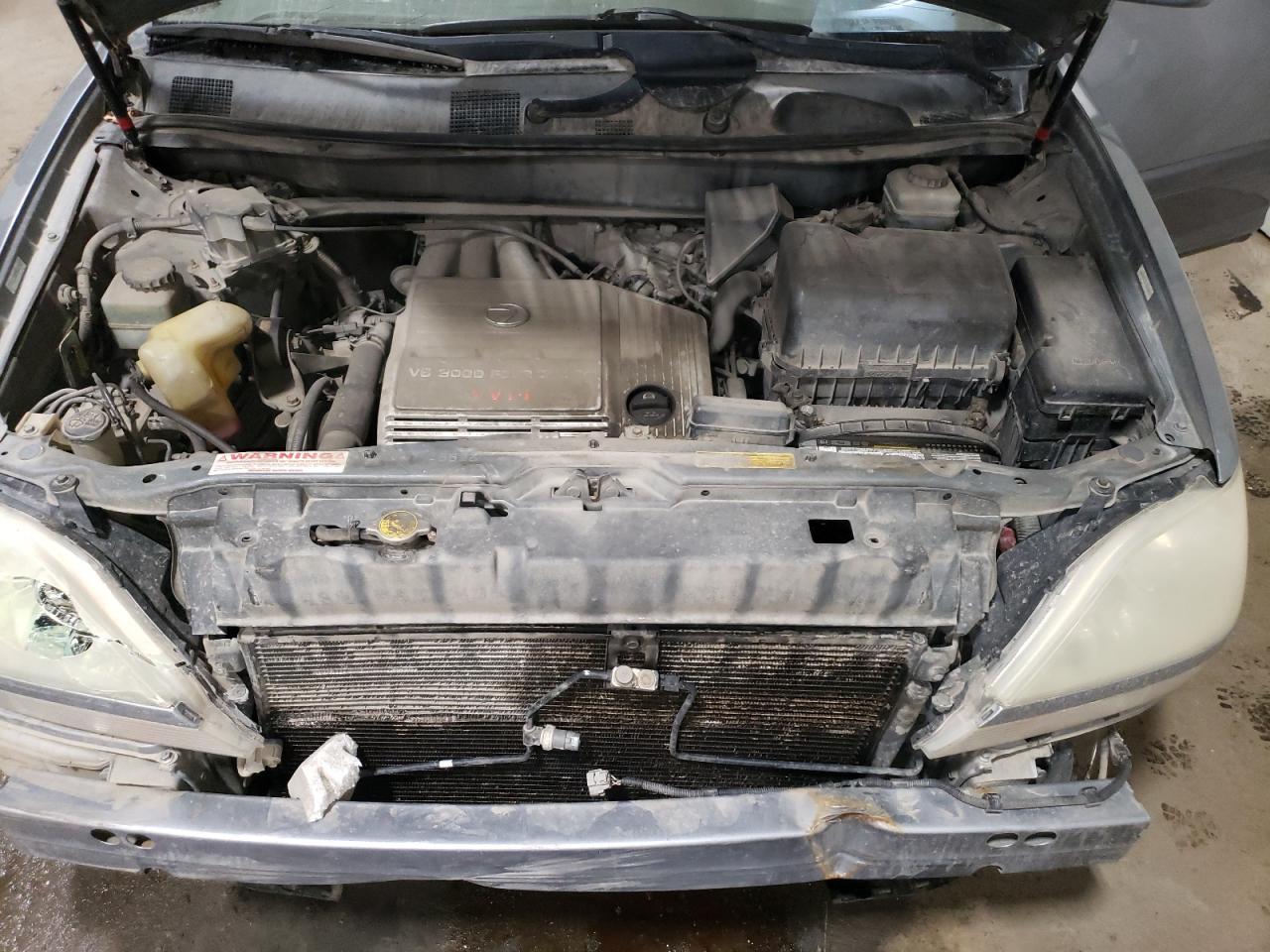 2002 Lexus Rx 300 VIN: JTJHF10U320289837 Lot: 53879935