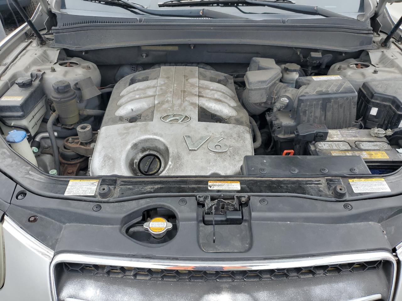 2007 Hyundai Santa Fe Se VIN: 5NMSH13E57H043077 Lot: 51896325
