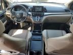 2024 Honda Odyssey Exl на продаже в Houston, TX - Front End