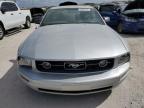 2009 Ford Mustang  zu verkaufen in West Palm Beach, FL - Normal Wear