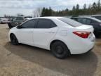 2019 TOYOTA COROLLA L à vendre chez Copart ON - TORONTO