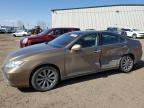 2007 LEXUS ES 350 à vendre chez Copart AB - CALGARY