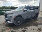 2021 Cadillac Escalade Premium Luxury zu verkaufen in Apopka, FL - Top/Roof