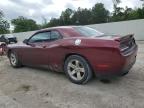 Greenwell Springs, LA에서 판매 중인 2018 Dodge Challenger Sxt - Front End