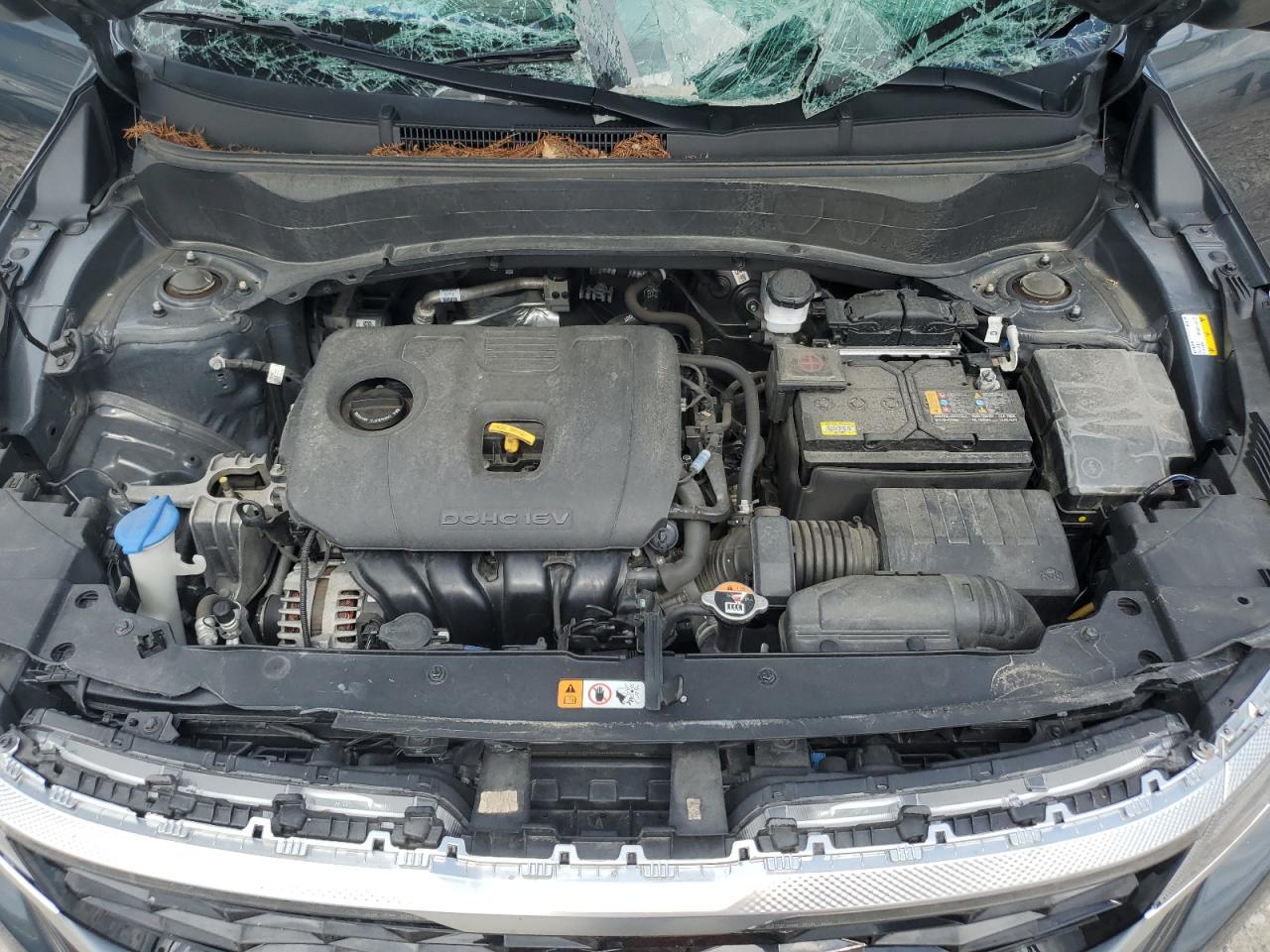 2023 Kia Seltos S VIN: KNDEUCAA5P7395877 Lot: 54133005