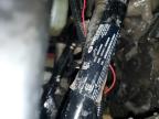 2022 POLARIS RZR XP 4 1000 for sale at Copart WY - CASPER
