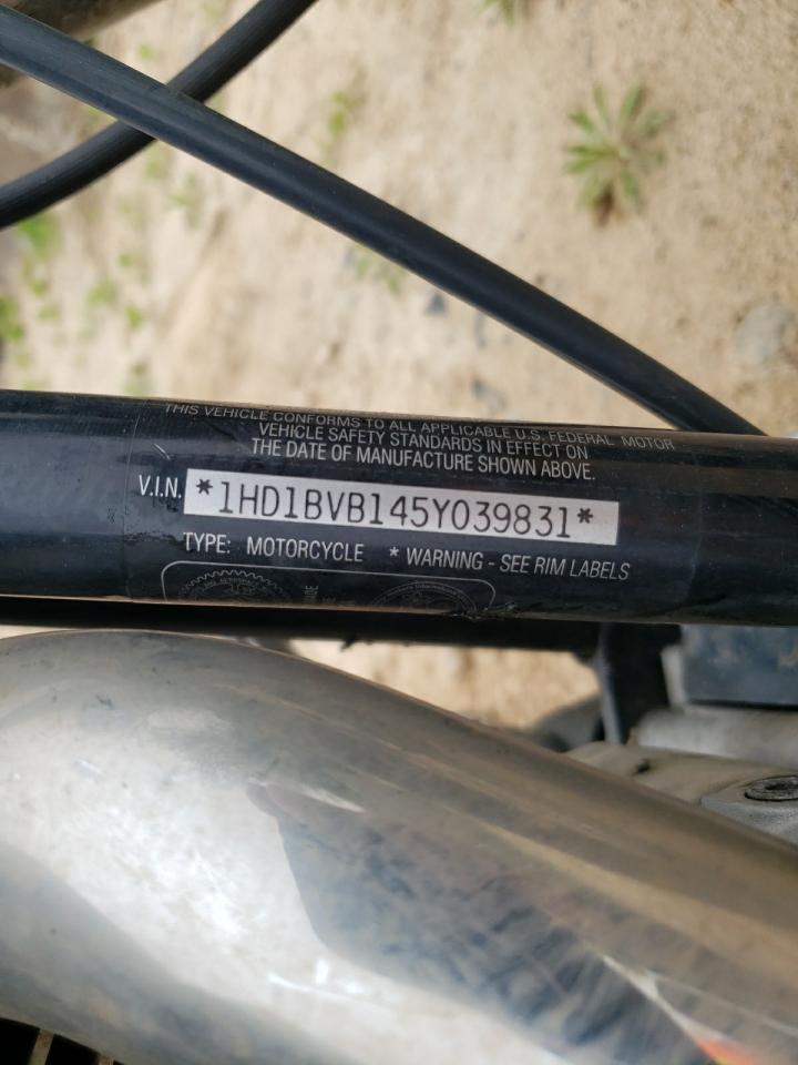 2005 Harley-Davidson Fxsti VIN: 1HD1BVB145Y039831 Lot: 51643905