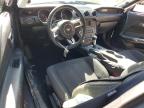 2019 Ford Mustang  for Sale in Marlboro, NY - Side