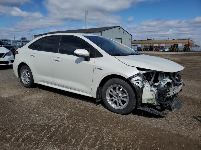  TOYOTA COROLLA 2021 White