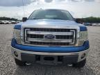 2014 Ford F150 Supercrew продається в Memphis, TN - Top/Roof