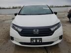 2023 Honda Odyssey Sport-L на продаже в Louisville, KY - Hail