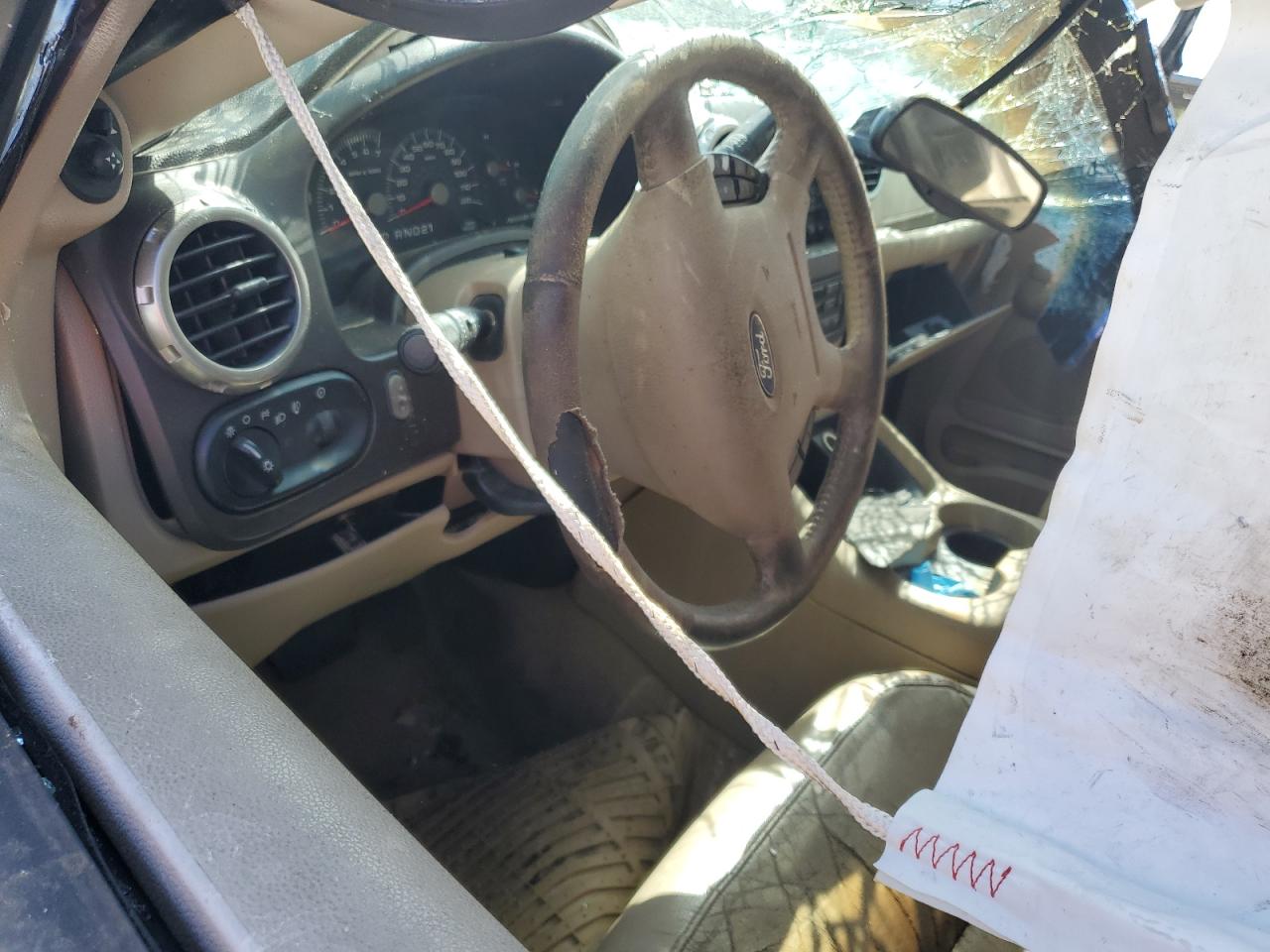 2004 Ford Expedition Eddie Bauer VIN: 1FMEU17W84LB72089 Lot: 53442145