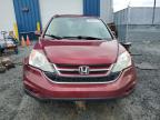 2010 HONDA CR-V EX for sale at Copart NS - HALIFAX