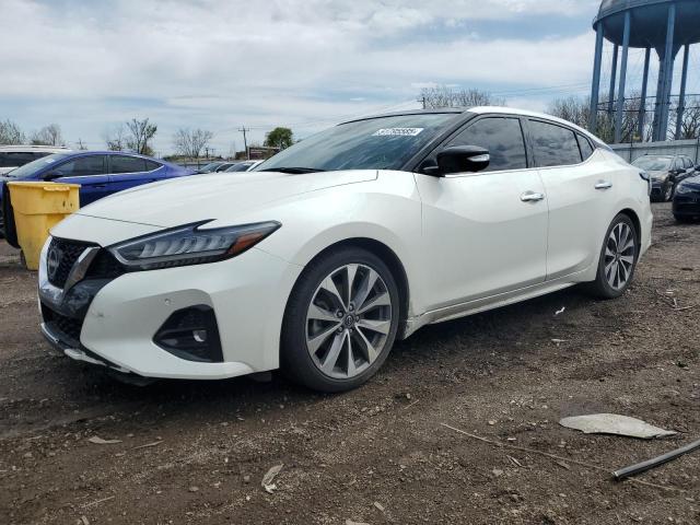  NISSAN MAXIMA 2023 White