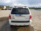 Memphis, TN에서 판매 중인 2009 Ford Escape Hybrid - Front End