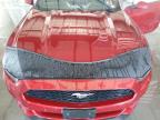 2015 Ford Mustang  for Sale in Albany, NY - Rear End