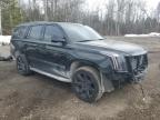 2018 CADILLAC ESCALADE LUXURY à vendre chez Copart ON - COOKSTOWN