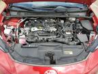 2023 Toyota Prius Le for Sale in Louisville, KY - Hail