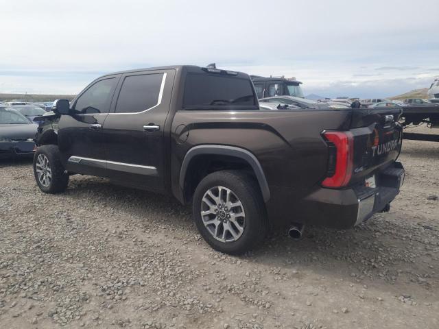  TOYOTA TUNDRA 2023 Коричневий