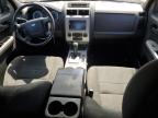 2009 Ford Escape Xlt იყიდება Cahokia Heights-ში, IL - Hail
