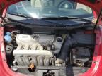 2009 Volkswagen New Beetle S for Sale in Gaston, SC - Rear End