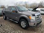 2014 Ford F150 Supercrew للبيع في Woodhaven، MI - Mechanical