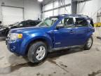 2008 Ford Escape Xlt en Venta en Ham Lake, MN - All Over