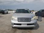2011 Lexus Gx 460 Premium продається в New Orleans, LA - Water/Flood