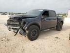 2024 Ford F150 Raptor zu verkaufen in San Antonio, TX - Front End