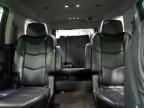 2020 Cadillac Escalade Esv Luxury იყიდება Ham Lake-ში, MN - Normal Wear