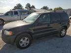 2003 Ford Escape Xlt for Sale in Prairie Grove, AR - Rear End