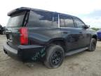 Mercedes, TX에서 판매 중인 2020 Chevrolet Tahoe Police - Rear End