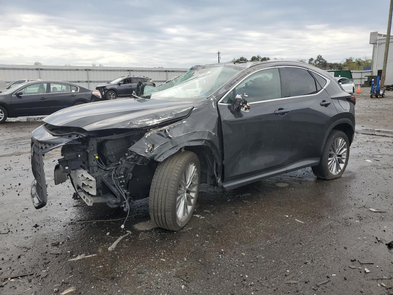 2022 Lexus Nx 350H იყიდება Fredericksburg-ში, VA - All Over