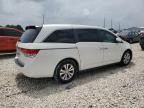 2016 Honda Odyssey Exl   de vânzare în Taylor, TX - Minor Dent/Scratches