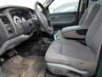 2008 Dodge Dakota Sxt for Sale in Rocky View County, AB - Front End