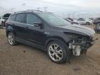 2013 Ford Escape Titanium იყიდება Elgin-ში, IL - Front End