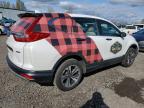 2019 HONDA CR-V LX   à vendre chez Copart OR - PORTLAND NORTH