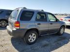 2007 Ford Escape Xlt for Sale in Earlington, KY - Hail