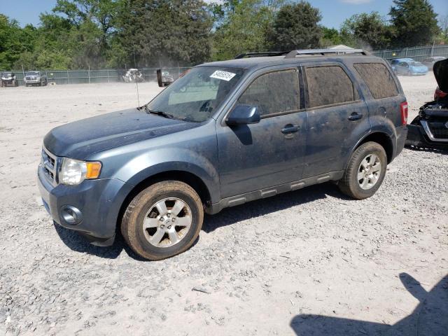 2010 Ford Escape Limited