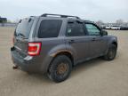 2011 Ford Escape Xlt იყიდება Bowmanville-ში, ON - Top/Roof