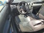 2017 Ford Mustang  for Sale in Jacksonville, FL - Front End
